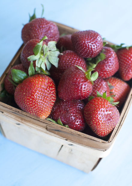 Bixby Orchards